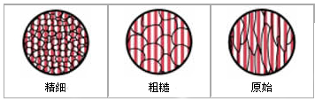 晶粒結構