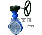 D71/371F46/F3對夾式襯氟蝶閥縮略圖