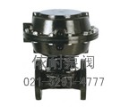 EG641W/J/FS英標氣動(dòng)襯膠隔膜閥（往復式）縮略圖