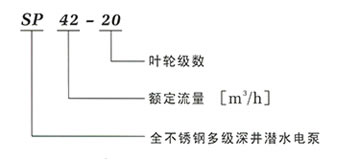 SP潛水泵 型號說(shuō)明