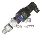 XL-802C小巧型帶顯示壓力變送器 縮略圖