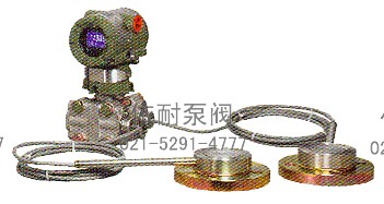 XLA118W/XLA118N智能單、雙遠傳差壓變送器