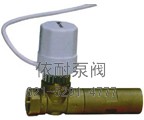 ZETA動(dòng)態(tài)平衡電動(dòng)調節閥 縮略圖 
