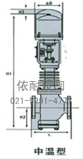 電子式電動(dòng)直通單、雙座調節閥 結構圖2
