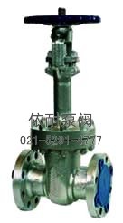 DZ41Y低溫法蘭閘閥