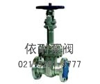DZ41Y低溫法蘭閘閥縮略圖
